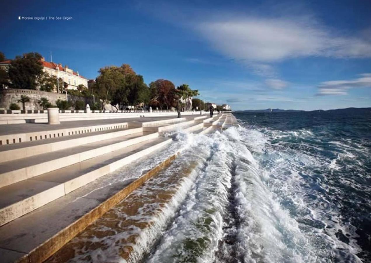 Rade Luxury Apartment Zadar Eksteriør billede